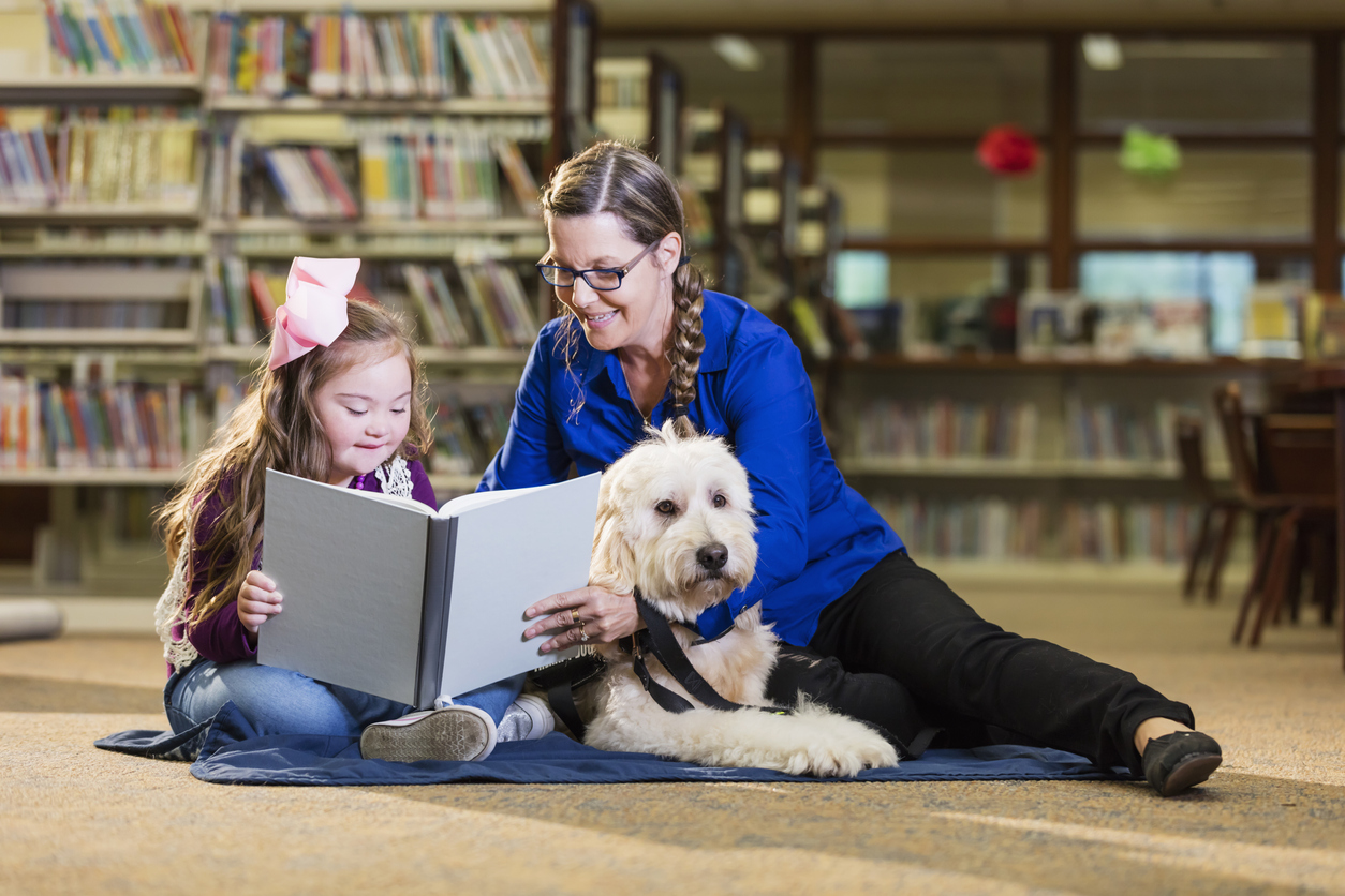 An 8 year old child with down syndrome reading in the library, sitting next to a therapy dog and trainer, a mature woman in her 50s. The goldendoodle is trained as a reading assistance dog.