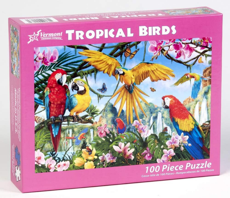 Tropical Birds in a forest
