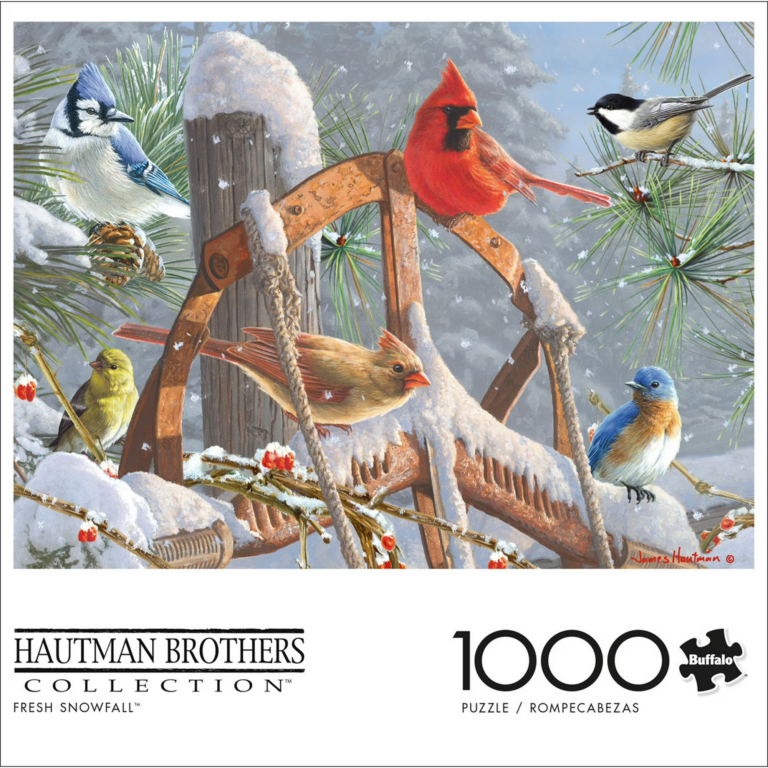 Different species of birds enjoying snow on a fence.