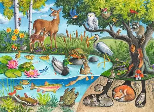 Different animals in their habitats